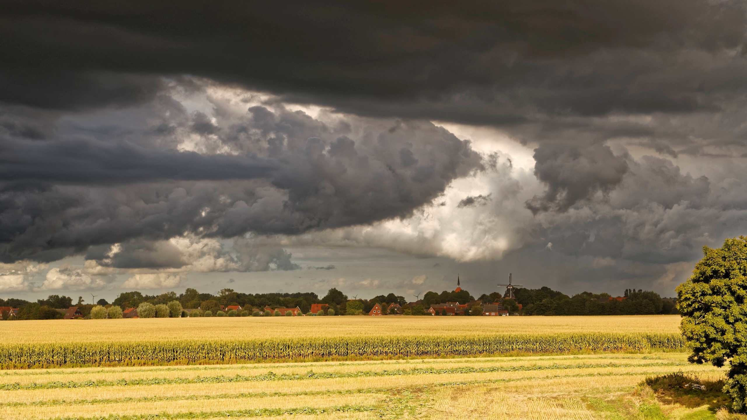 Heftige Gewitter In Bremen Und Niedersachsen Erwartet Buten Un Binnen