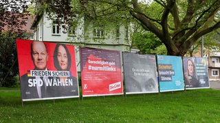 Große Plakate der SPD, Linken, FDP, CDU und Grünen zur Europawahl stehen am einer Wiese.
