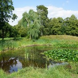 Ein Teich in einem Park, umgeben von Wiese und Bäumen.