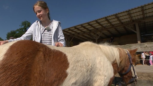 Ein Mädchen striegelt ein Pony.