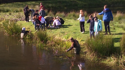 Schüler prüfen im Bremerhavener Fluss "Rohr", wie es um die Wasserqualität steht.