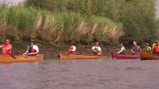 Auf der Hamme sind mehrere Holzboote mit jeweils zwei Personen drinnen zu sehen.