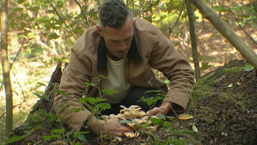 Sammler Moritz Schmidt bückt sich nach einem Pilz in einem Wald