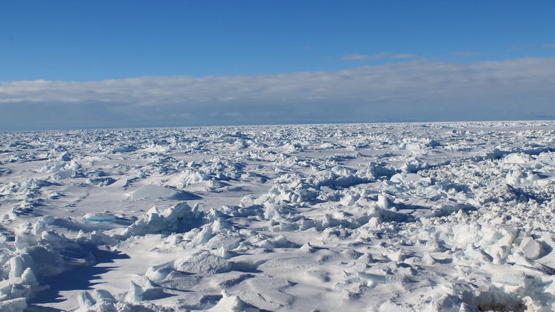 Eine geschlossene Eisdecke reicht bis zum Horizont, darüber blauer Himmel.