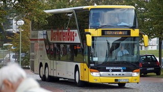 Ein gelb-weißer Bus mit der Aufschrift "Der Hafenbus" fährt eine Straße entlang.