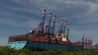 Ein unbeladenes Containerschiff liegt in einem Hafen , im Hintergrund sind hochgeklappte Kräne zu sehen.