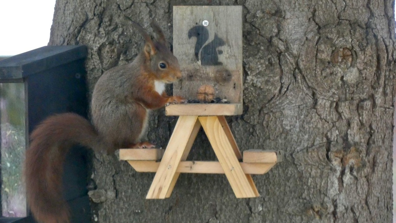 Bastelwut In Delmenhorst Miniatur Gartenmobel Fur Die Eichhornchen Buten Un Binnen