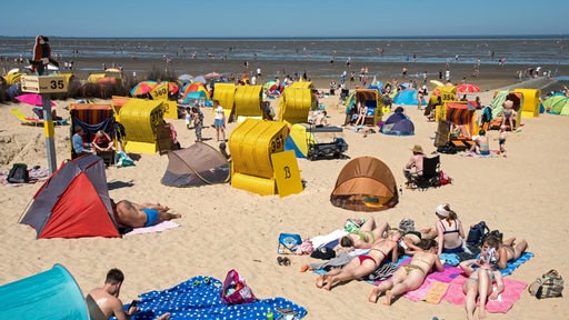 Zahlreiche Menschen halten sich mit Strandkörben und Strandmuscheln an einem Strand vor dem Wattenmeer auf.