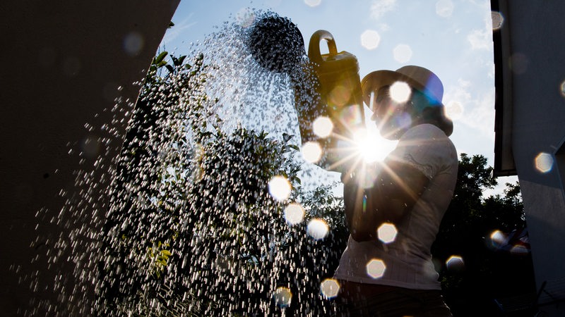 Wissenschaftlerin Trinkwasser Ist Nicht Zur Gartenbewasserung