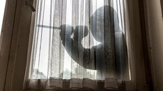 Ein Fenster mit Gardine, dahinter der Schatten eines Menschen mit einem Brecheisen in den Händen