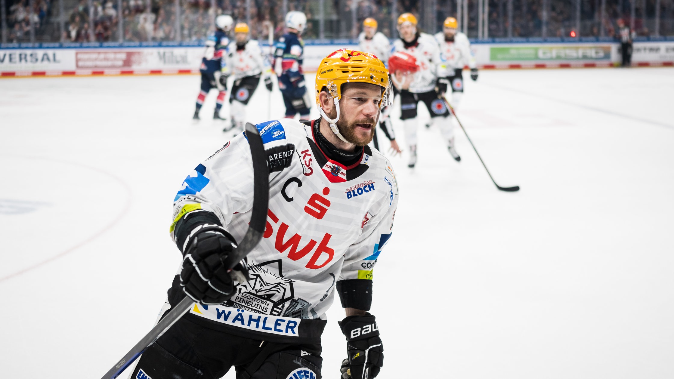 Fischtown Pinguins Gewinnen Champions League-Auftakt Gegen Genf - Buten ...