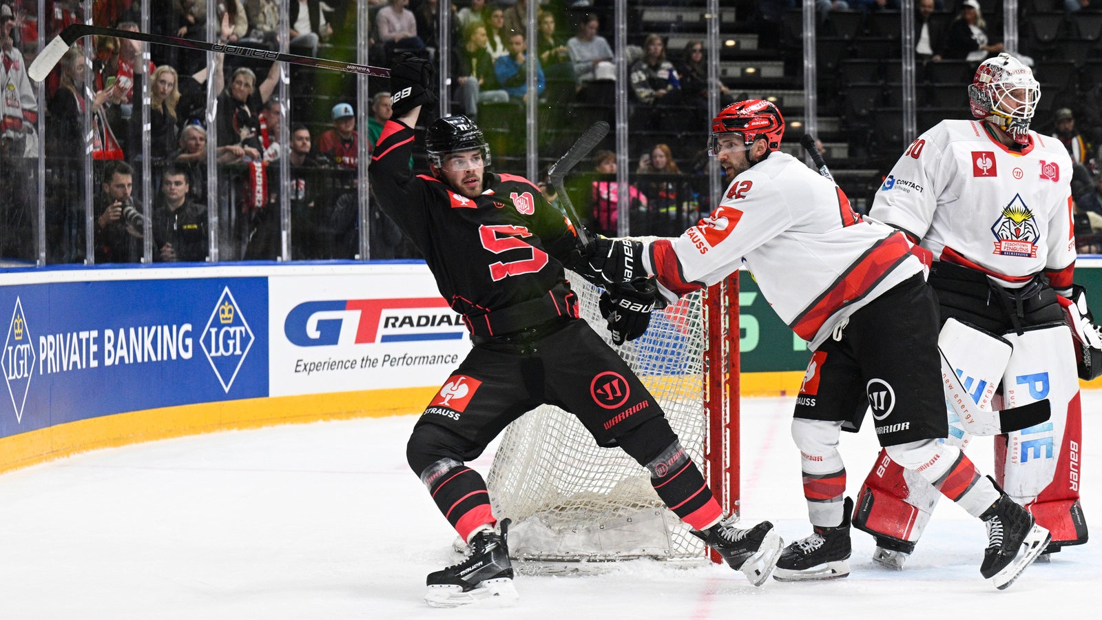 Fischtown Pinguins Erreichen Achtelfinale Der Champions Hockey League ...