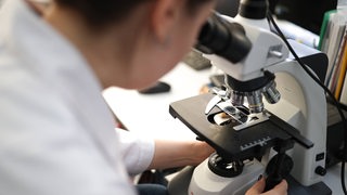 Eine Forscherin schaut durch ein Mikroskop