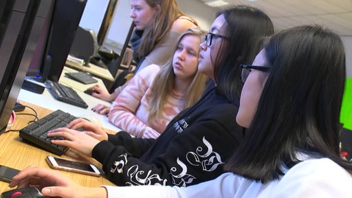 Mehrere Frauen an Computern.