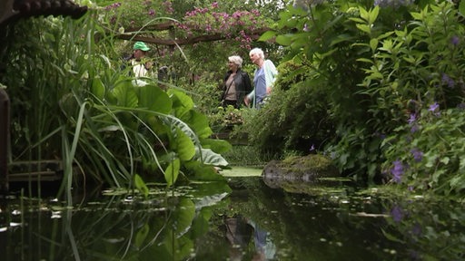 Es ist ein Teich in einem stark bewachsenen Garten zu sehen. Zwieschen den Pflanzen sieht man drei Personen.