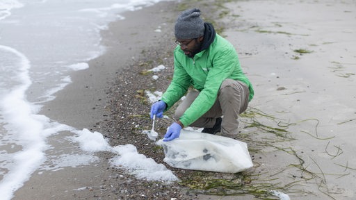 Ein Mann in einer grünen Greenpeace-Jacke schaufelt an einem Strand Meeresschaum in einen Beutel