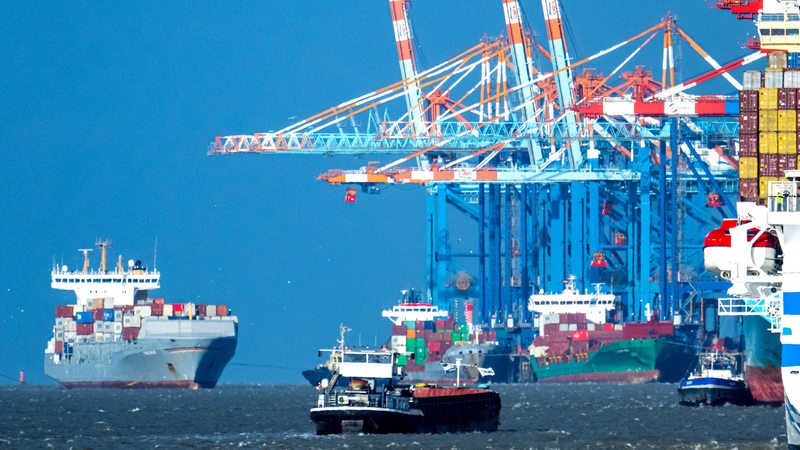 Mehrere Schiffe liegen neben Kränen im Hafen.