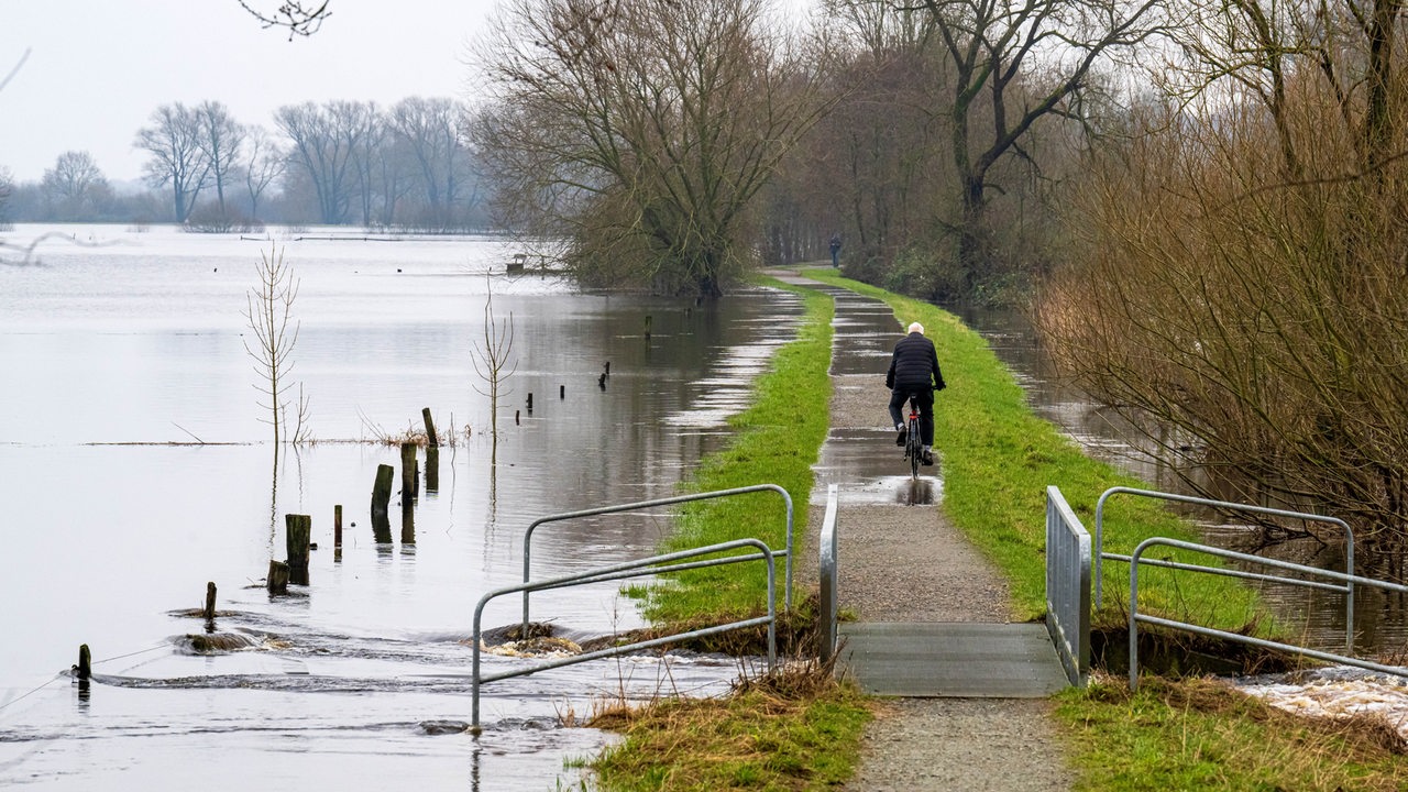 St-rkere-Deiche-weniger-B-ume-Wie-sich-Bremen-vor-Hochwasser-sch-tzt