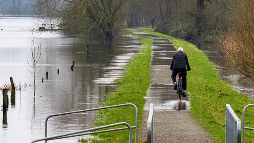 Ein Radfahrer fährt über den Deich an der Wümme im Bremer Ortsteil Borgfeld.