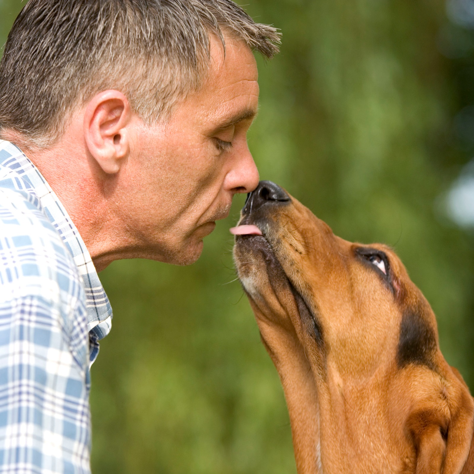 Nach Todesfall Wie Gefährlich Ein Hundekuss Wirklich Ist