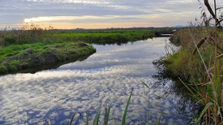 Naturschutzgebiet Werderland in Lesum