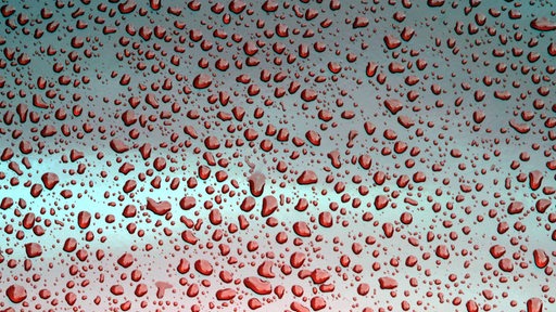 Sahara-Staub: Tipps fürs Auto waschen