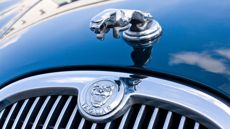 Motorhaube eines Jaguars mit Kühlergrill
