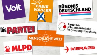 Collage zeigt die Logos von Kleinparteien, die zur Bundestagswahl 2025 antreten