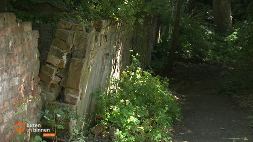Ein kleiner schattiger Pfad führt neben einer alten Mauer vorbei.
