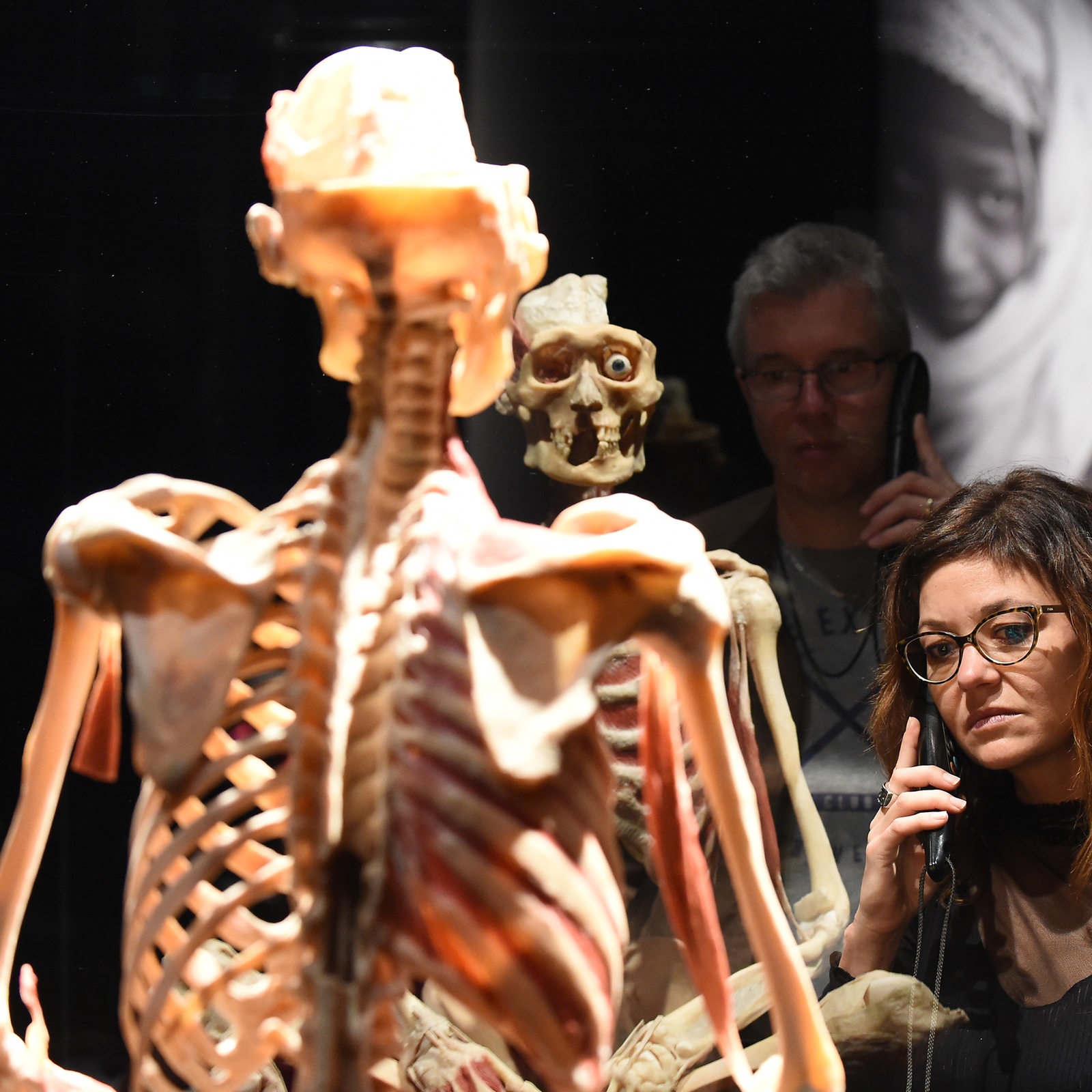 Umstrittene Ausstellung Körperwelten ist wieder in Bremen zu sehen -  buten un binnen