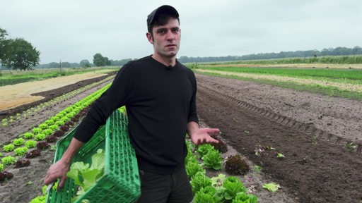 Der Gemüsebauer Felix Hannig steht auf einem Acker und hält eine Kiste mit Salat in der Hand.