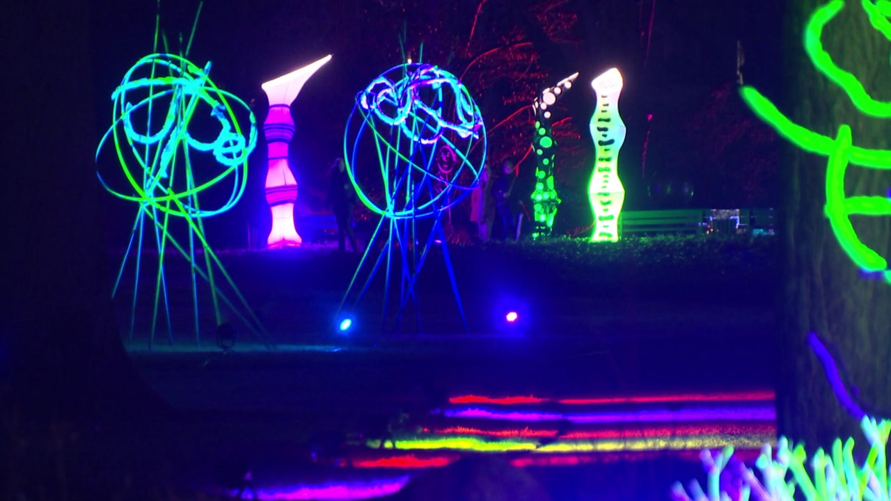 Bremen: So erstrahlt der Rhododendronpark bei Light Up! ab Freitag