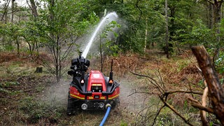 Ein Löschroboter löscht ein Feuer in einem Wald.