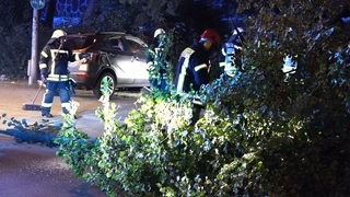 Im Vordergrund liegt ein umgeknickter Baum auf einer Straße. Im Hintergrund sind Feuerwehrleute und ein zerstörtes Auto zu sehen.