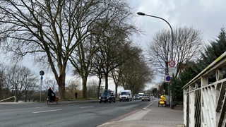 Der Osterdeich Höhe Peterswerder