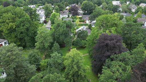 Ein Park aus der Vogelperspektive, im Hintergrund Bäume.