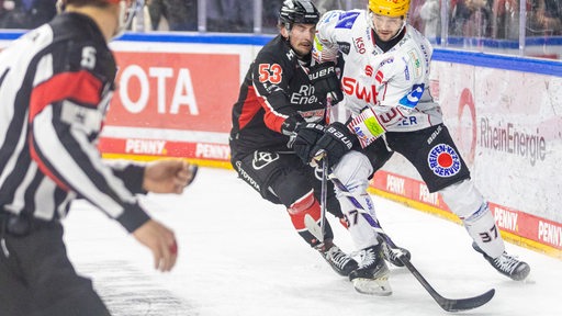 arkus Vikingstad (Pinguins Bremerhaven, #37) vs Adam Almquist (Koelner Haie, #53) Koelner Haie vs. Pinguins Bremerhaven, Eishockey, Penny DEL, 16. Spieltag,