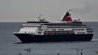 Ein weiß-blaues Kreuzfahrtschiff fährt über das Meer.