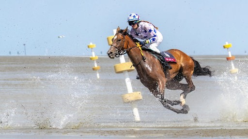 Melina Ehm beim Reitsport auf einem Pferd im Galopp.