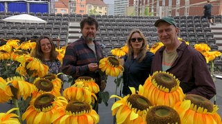 Menschen stehen vor einer Tribüne zwischen Sonnenblumen