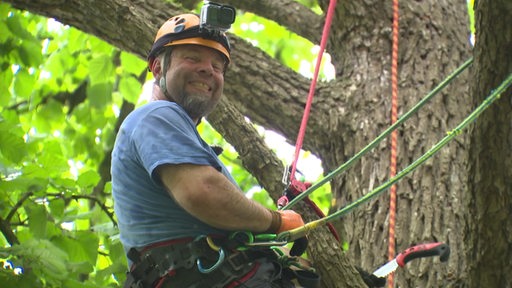 Zu sehen ist Lars Schimmelpfennig auf einem Baum.