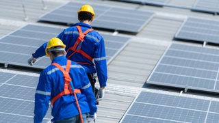 Zwei Techniker in Arbeitskleidung gehen zwischen Solarpanelen