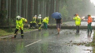 Feuerwehrleute an einem umgestürzten Baum auf einer Straße