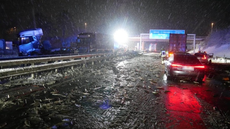 Ein Lastwagen auf der A! hat viele Fische verloren.