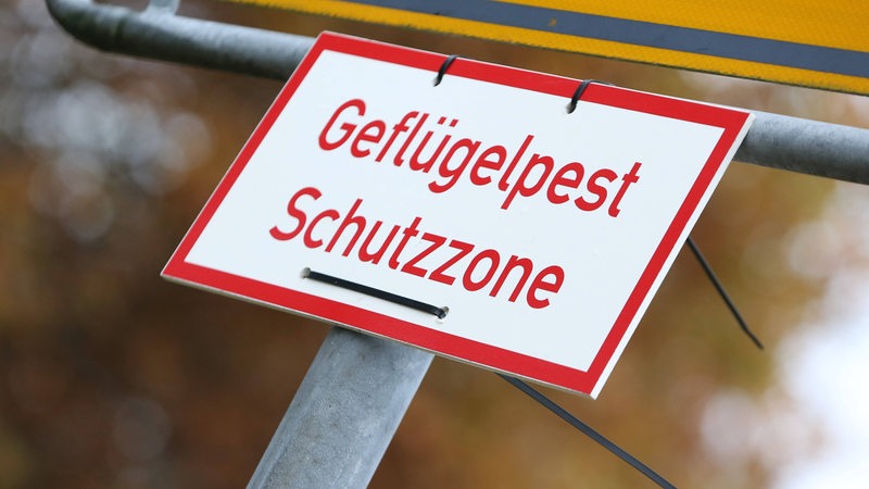 Auf einem Schild steht "Geflügelpest Schutzzone".