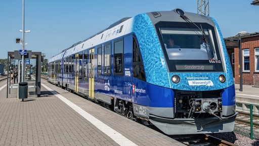 Ein blauer Zug steht an einem leeren Bahnsteig.