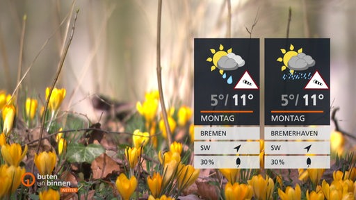 Rechts im Bild sind die Wettertafeln zu sehen und im Hintergrund sieht man eine Blumenwiese.