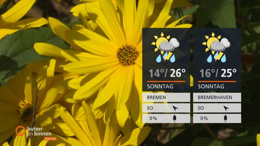 Gelbe Blumen, davor die Wetterkacheln