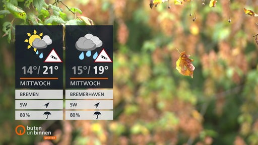 Die Wettertafeln vor einem Baum, der Blätter zum Herbst fallen lässt. 