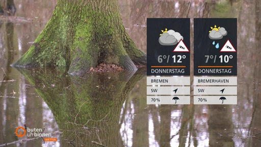 Die Wettertafeln für Donnerstag vor einer überschwemmten Wiese im Wald.